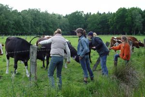 Max-Planck-Schule Kiel, Wandertage nach Tolsrueh